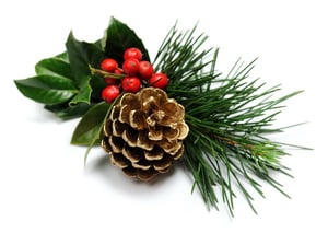 shutterstock_153935528.jpg